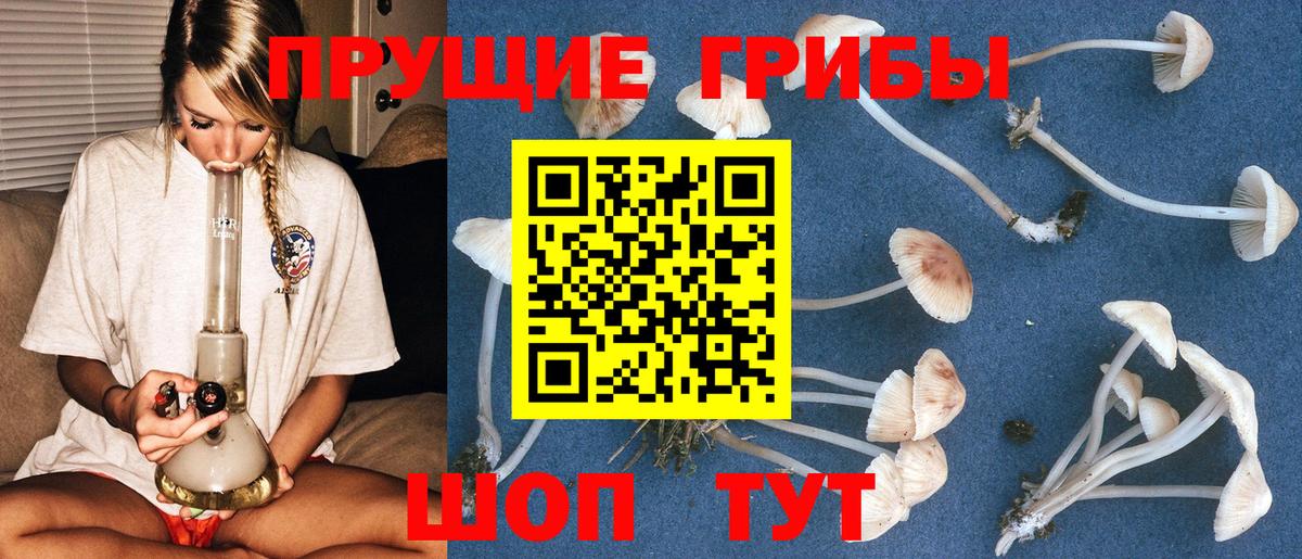 Меф   Бошки Шишки  Людиново  ГАШИШ  Вход с VPN 